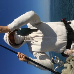 今日は、ぼらを吸い込みでゲット＾＾口太クロもゲット。